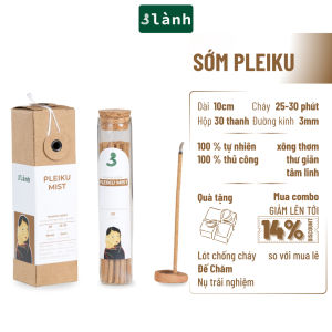 Nhang Thủ Công Sớm Pleiku 3 Lành Hộp 30 Que 100 % Tự Nhiên Tặng Kèm Đế Chăm Không Hóa Chất Xông Thơm