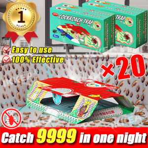 【 Free Roach Bait 】 20pcs Cockroach Traps Roach Killer Sticker Adhesive Cockroach killer Pest Control Home 100m Attracts Cockroaches