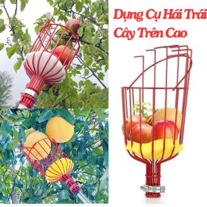 Giỏ Hái Trái Cây Trên Cao Có Xốp Lót Bảo Vệ Tiện Lợi Không Kèm Cán Dụng Cụ Giật Hái Trái Cây Lồng Hái Trái Cây OKSEP