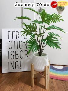 70cm ต้นซานาดูสูง - 18 ใบ ต้นไม้ปลอมตกแต่งบ้าน Leeartplants