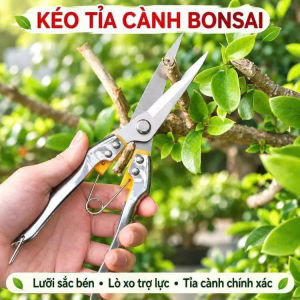 Kéo tỉa cành tỉa dăm thép trắng không gỉ dài 23cm