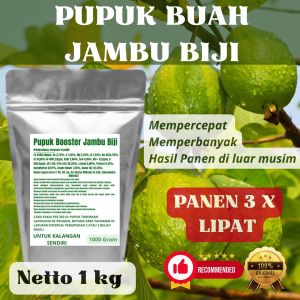 Pupuk Booster Jambu Biji Pelebat Organik Cepat Berbuah Lebat Besar Anti Rontok Pembesar Jambu Biji