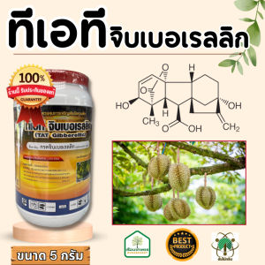 ทีเอที จิบเบอเรลลิก สารควบคุมการเจริญเติบโตของพืช ใช้เพิ่มสัดส่วนดอกเพศผู้ ของแท้100% ขนาด 5 กรัม