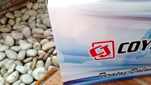 Sepatu Kerja Wanita Sepatu Pantofel Wanita Hak 5 Cm