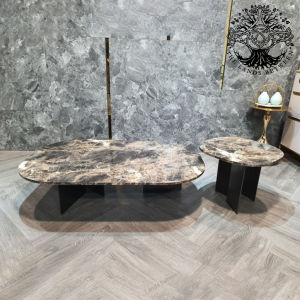 Bàn trà sofa bàn phòng khách bàn đôi cafe nội thất nhập khẩu cao cấp kiểu Ý mặt đá cẩm thạch Emperado chân trụ Inox