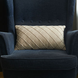 Luxury Style Square Velvet Cushion Cover Decorative Throw Pillow Case Cushion Case Pillow Shell for Sofa Bedroom 30x50cm