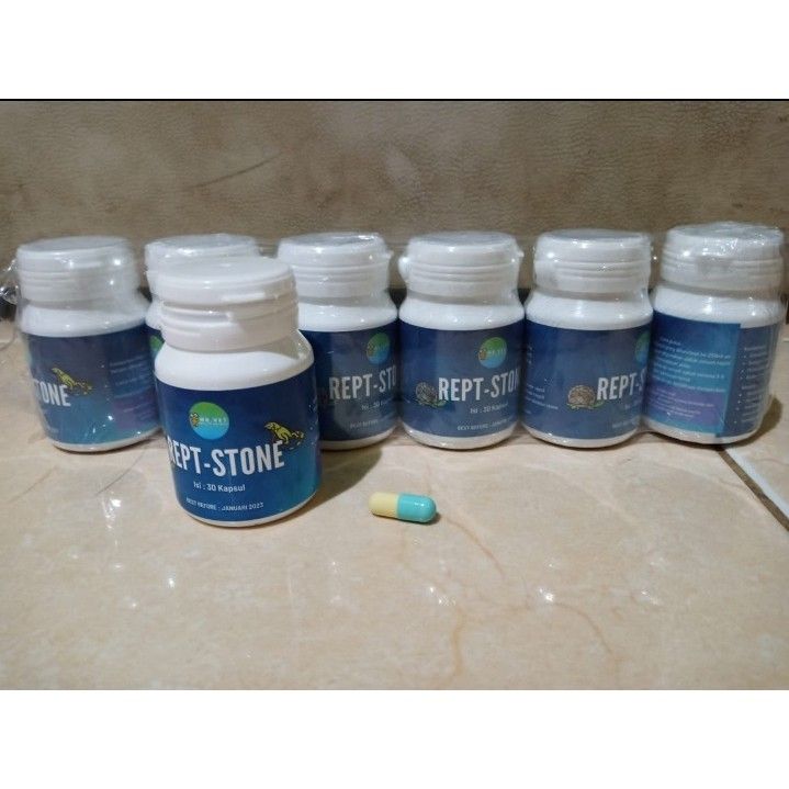 Rept Stone - eceran obat bladder stone (BS) kura kura / reptile - BANDUNGPRIDE