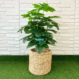 Pohon Artificial Tanaman Hias Anubias Hijau X18 Semilatex Cover Pot Eceng Gondok Dekorasi Cafe Aesthetic