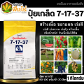 🌽 7-17-37 (ปุ๋ยเกล็ดเรือใบ) 1กิโลกรัม เร่งหวาน เร่งสี เร่งหัว เพิ่มน้ำหนัก ป้องกันผลล้ม. 