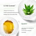 Gel Lô Hội Dưỡng Ẩm Hỗ Trợ Giảm Mụn. 