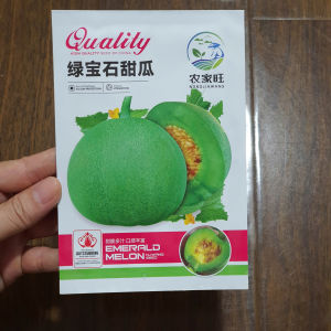 Hạt giống dưa lê xanh ngọc lục bảo Đài Loan siêu giòn ngọt hạt giống dưa lê nhập khẩu -shop Yến Liên Beauty