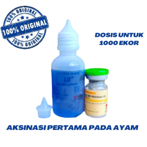 Vaksin ND Hitchner B1 1000 Vaksin Ayam Kecil