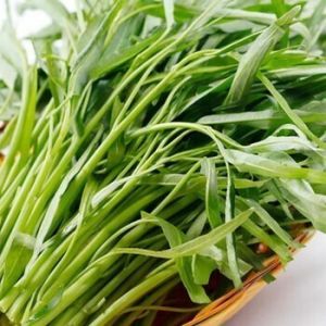 Hạt giống rau muống cao sản (dạng lá tre) - gói 50gram