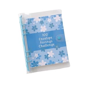 DAN LE Money Saving 100 Envelope Savings Challenge Financial Management 100 Envelope Planner Organizer Easy To Use PVC Saving Money Binder Girls Boys