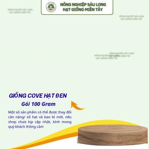 HẠT GIỐNG ĐẬU COVE HẠT ĐEN CAO SẢN HAI MŨI TÊN ĐỎ
