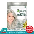 Garnier Hair Color Naturals Ultra Color Ash Blonde. 