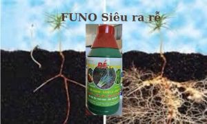 Siêu Ra Rễ (Funo) – Giải pháp tăng cường sức mạnh cho hệ rễ cây trồng