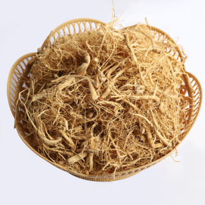 ลากโสมจีน人参须โสม，บำรุงสมอง