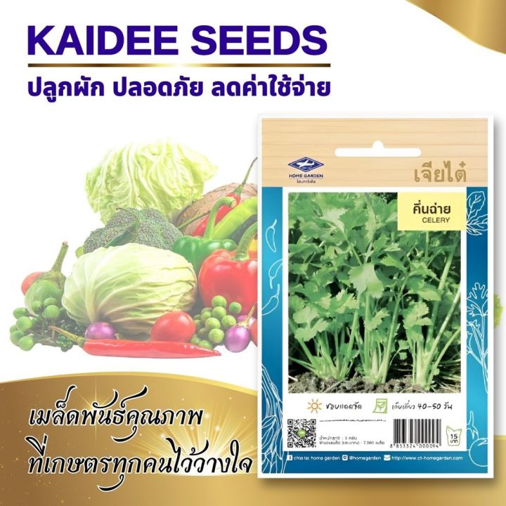 10 อันดับ เมล็ดพันธุ์ขึ้นฉ่าย ยี่ห้อไหนดี? อัปเดตปี 2025