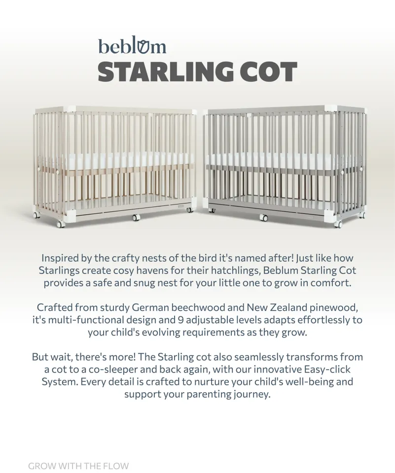 Beblum cot deals