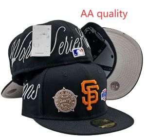 2025 หมวกเบสบอลทีมขายดีใหม่ AA หมวกปีกแบนแฟชั่นขนาดมาตรฐาน