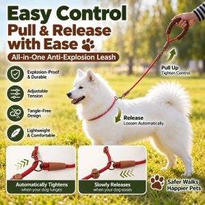 P Rope Slip Leash for Dogs Anti-Pull Training Walking Lead