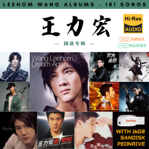 [181首] Pendrive Song 音乐USB 王力宏国语专辑 mp3 超高音质 16gb 流畅播放 Leehom Wang Songs 车载音乐