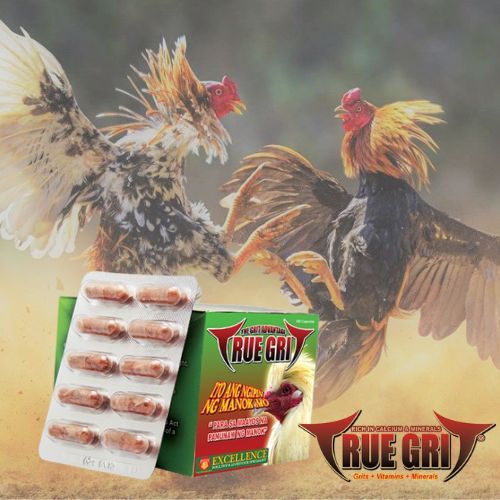 [RCG AGRIVET] 10pcs / 1 BANIG True Grit Capsules for Gamefowl / Panunaw
