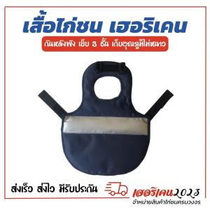 เสิ้อซ้อมไก่ ไทย-ป่าก๋อย คุณภาพ ดี สำหรับไก่ชน