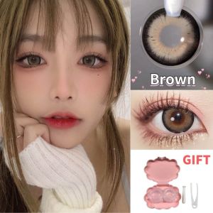 Graded(0~-8.00) lens Brown Grey Colored Contact Lens Big Eyes Use 1Pair Soft Lenses 6 monthly 14.5mm Free lens case