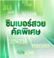 ค้นพบเกมสล็อตออนไลน์ 2026 ที่ AMAZON789 พร้อม PG Slot, H25, Dooball66, PGBET888 เว็บตรง สล็อตวอเลท True Wallet คาสิโนสด และกิจกรรมส่งเสริมการเล่นมากมาย รองรับผู้เล่นใหม่และสมาชิกประจำ.
