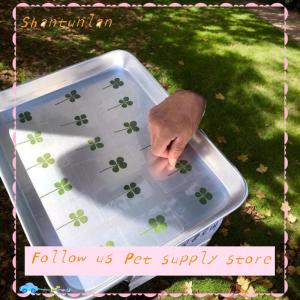 🎁【Special price】🎁Sha โปสการ์ดรูปใบโคลเวอร์นำโชค1 5 10ชิ้นการ์ดอวยพรโปร่งใสหญ้าธรรมชาติสำหรับบุ๊กมาร์ก