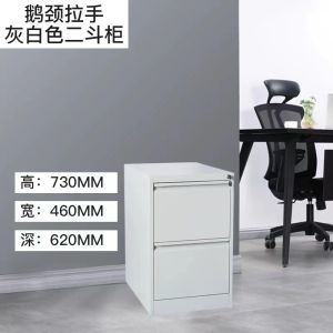 Modern Office File Cabinet with Locking 4-Drawer Card Storage System Matte Finish