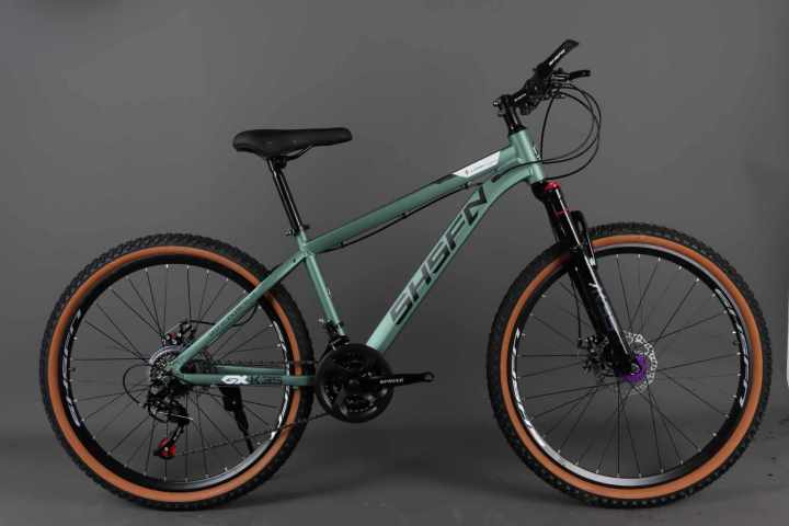 Alloy Mountain Bicycle SHSFN MTB Alloy frame new mountain bike