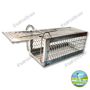 กับดักหนู กรงดักหนู กาวดักหนู ที่ดักหนู กรงดักหนูแบบมีโครง กรงดักหนูสปริงคู่ กรงดักหนูนา กรงดักหนูเล็ก กาววิทยาศาสตร์ กับดัก หนู