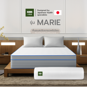 Kawa [อัดสุญญากาศ] ที่นอนสปริง รุ่น Marie หนา 8 นิ้ว หนานุ่ม นอนสบาย ด้วยสปริงเกรดนำเข้า แถมฟรีหมอนหนุน