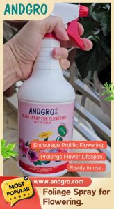 （BotanicaBay）Foliar Spray for Flowering (1000ml) Promotes More Buds Longer Blooms & Stronger Flowering Plants