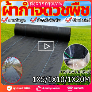 พลาสติกคลุมวัชพืช พลาสติกคลุมดิน คลุมวัชพืช ผ้าคลุมดิน (เกรด A) คลุมดิน ผ้าคลุมหญ้า พลาสติกคลุมหญ้า กำจัดวัชพืช ผ้าคลุมวัชพืช พลาสติกเกรดส่งออก ผสมUV ฆ่าหญ้า เห็นผลไวถายใน 1 เดือน อยุ่ทนกว่า 4-5 ปี คลุมวัชพืช (ยาว10ม.) กำจัดหญ้า พลาสติกคลุมดิน