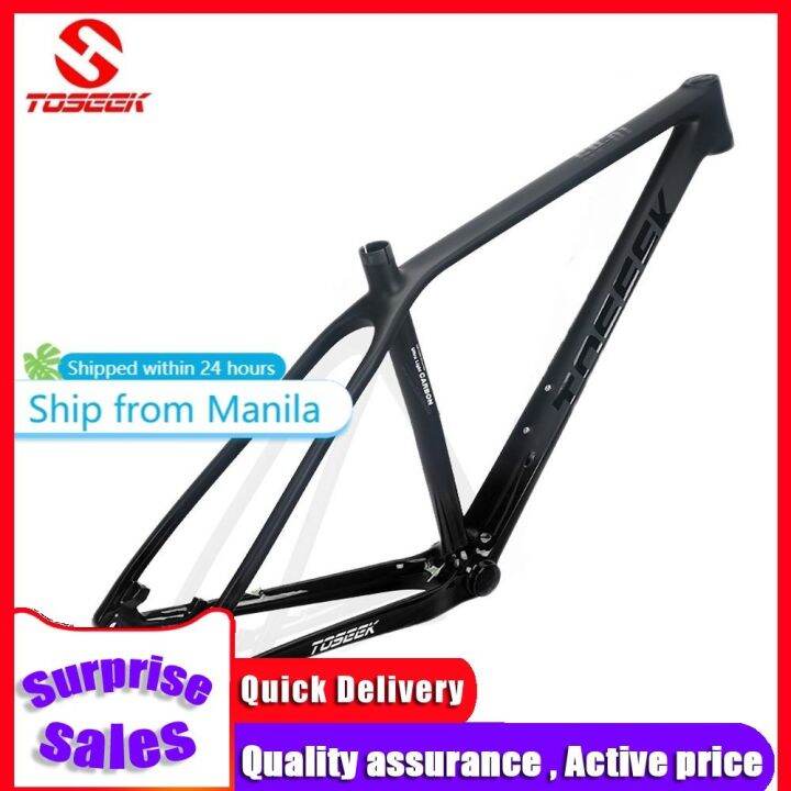 Carbon fiber mountain bike frame sales for sale