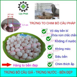 100 quả Trứng bồ câu giả bằng nhựa trứng nước mới bền không rỉ nước chim bồ câu Pháp thích ấp shop Lộc Phát bán trứng bồ câu nhựa giá rẻ 100TN-H