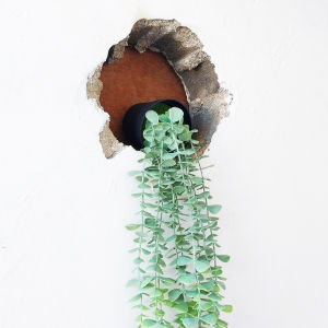 Daun Dollar Rambat Pot Tanaman Hias Plastik Gantung Artificial Ornamen Hiasan Dekorasi Dinding PBP54
