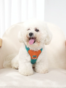 Large Dog Harness No Pull Design for Small Dogs Easy Walk with Leash Puppies Vest Harness