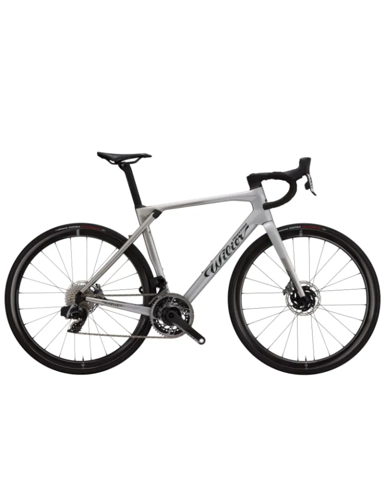 Wilier Granturismo SLR Disc Brake Frameset ONLY Road Bike (Size XS