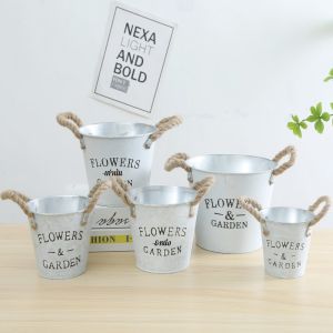 ระเบียง กระถางต้นไม้เดสก์ท็อปย้อนยุคถัง กระถางดอกไม้เหล็กสีขาวพืชอวบน้ำ