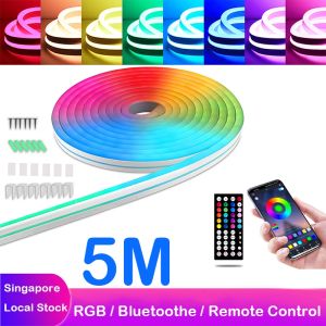 👍SG 5M 10M RGB Light Decorate Lamp Bluetooth USB Fairy Light LED Infrared Remote Control Flexible Lamp Tape LED Strip 12V/24V