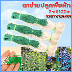 ตาข่ายปลูกพืชผัก โครงไม้เลื้อย ค้างปลูกผัก อวนปลูกผัก Plant Support
