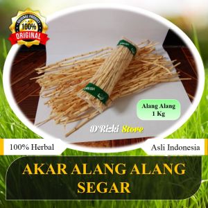 PROMO Akar Alang Alang Segar 1 Kg Super Bersih Original 100% Jamu Tradisional