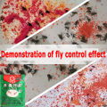 Quickly kill 10,000 flies in 30 seconds fly killer trap flies repellent Fly Killing Bait Powder Flies Killer fruit Fly Attractant Medicine swatter langaw catcher gel for poultry insect mosquito electric anti super sticky fly trap sticky glue fly catcher. 