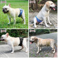 Aoresac- Có Thể Giặt Nam Dog Belly Band Bọc Không Thấm Nước Pet Tã Vệ Sinh Huấn Luyện Chó Sinh Lý Pant Dog Phụ Kiện.