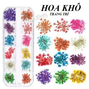 Hoa Khô Chùm Nhỏ Trang Trí Móng Set 12 Màu